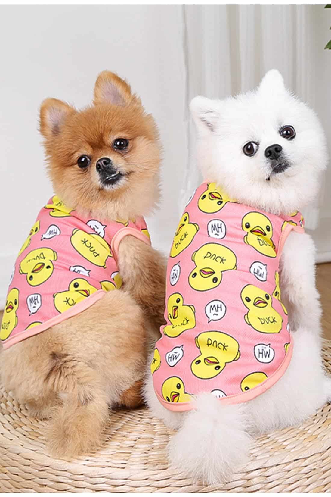 Playeras para Perros NeVka Estampadas con lindos patrones - Imagen 3