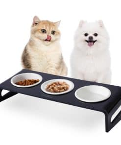 Soporte inclinado levantado elevado de tazones de comida y