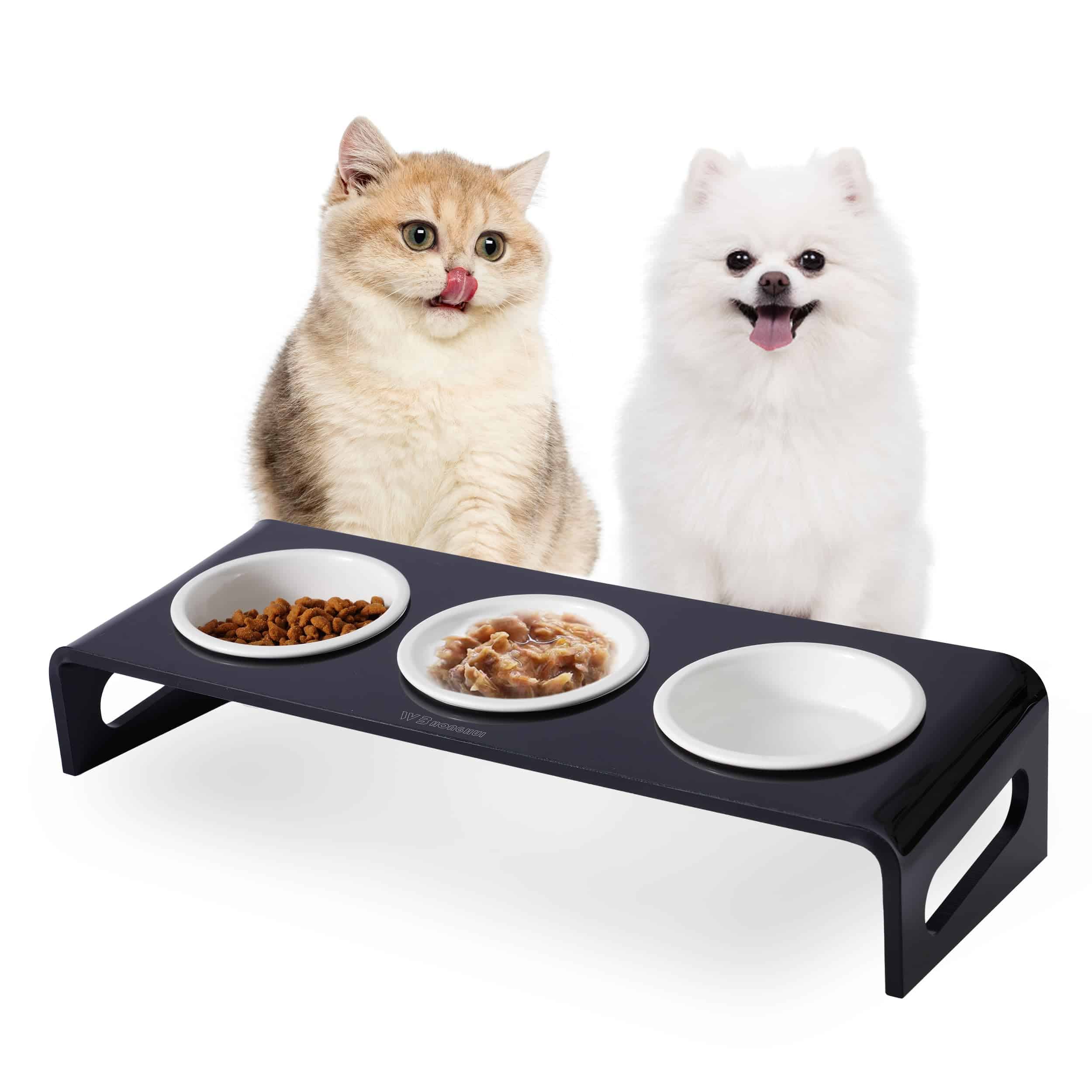 Soporte inclinado levantado elevado de tazones de comida y