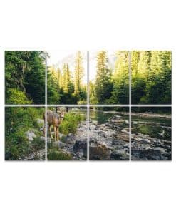 Paneles Acústicos de Arte, Solo ciervo bosque Animal