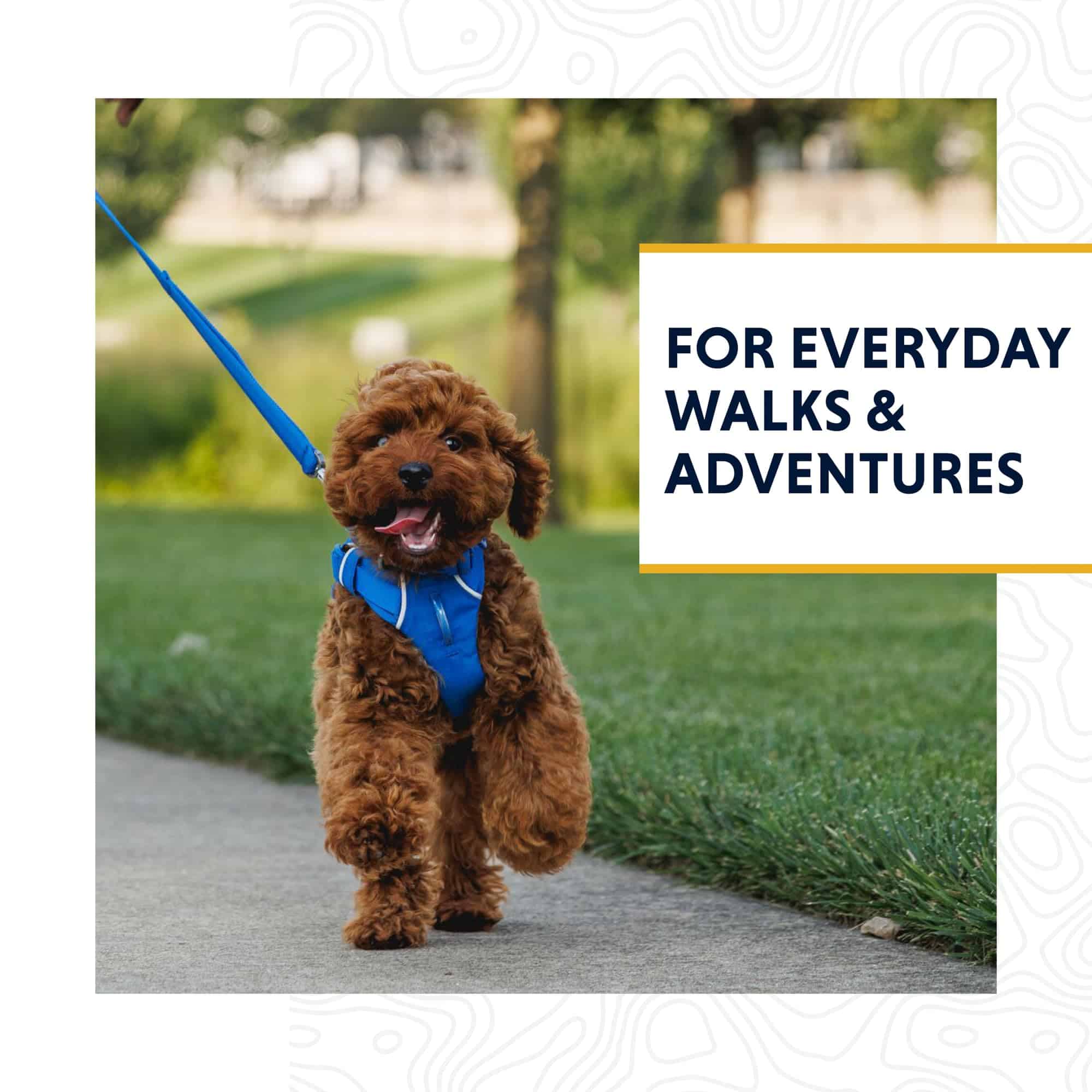 Correa Ruffwear Front Range para Perros, 1.5 m con Asa - Imagen 3