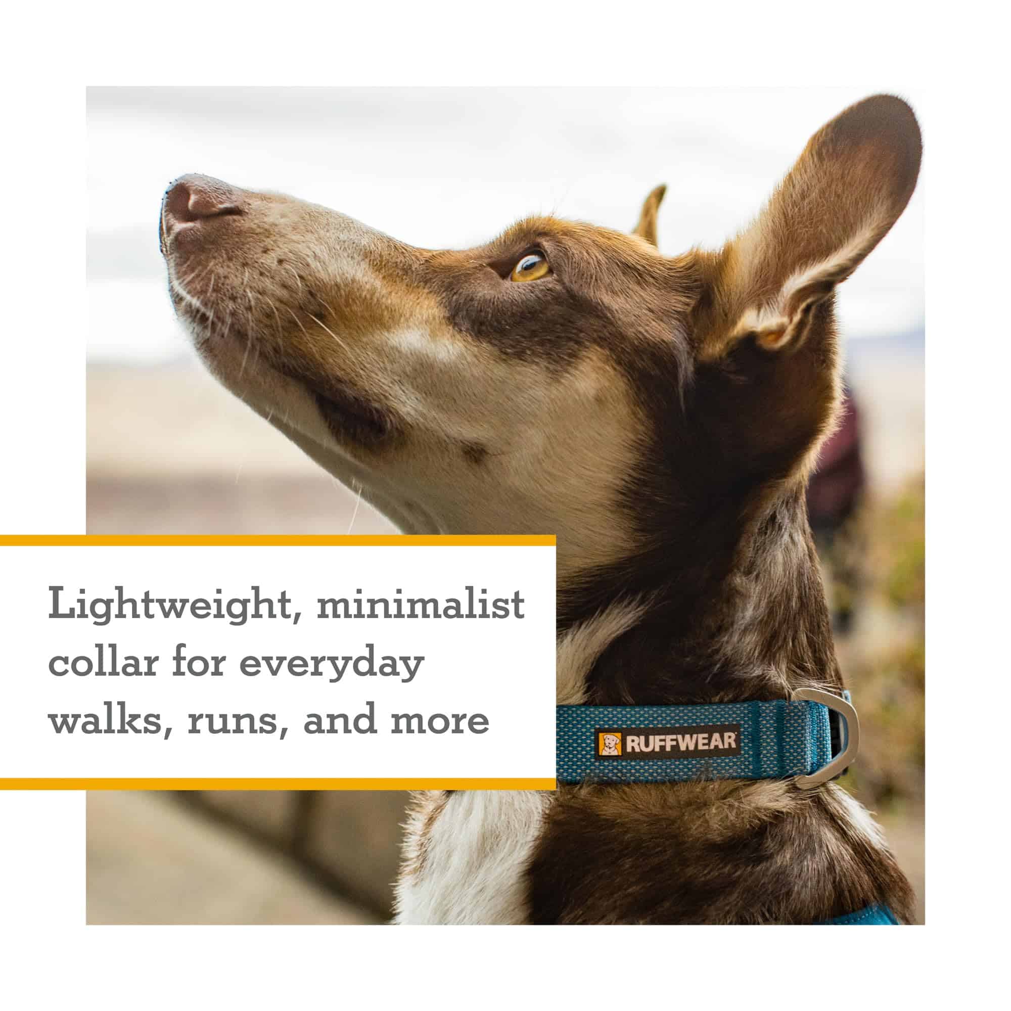 Collar para Perro Ruffwear, Hi & Light, Collar Minimalista - Imagen 3