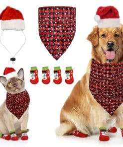 Conjunto de Disfraz de Navidad Perfecto para Mascotas Royal