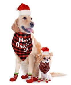 Disfraz Perfecto de Navidad para Mascotas de Royal Pets