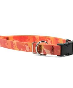 PACKT - Collar para Perro Impermeable Endeavor X3 | Hecho