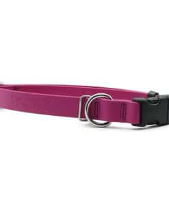 PACKT - Collar para Perros Impermeable Endeavor X3 |