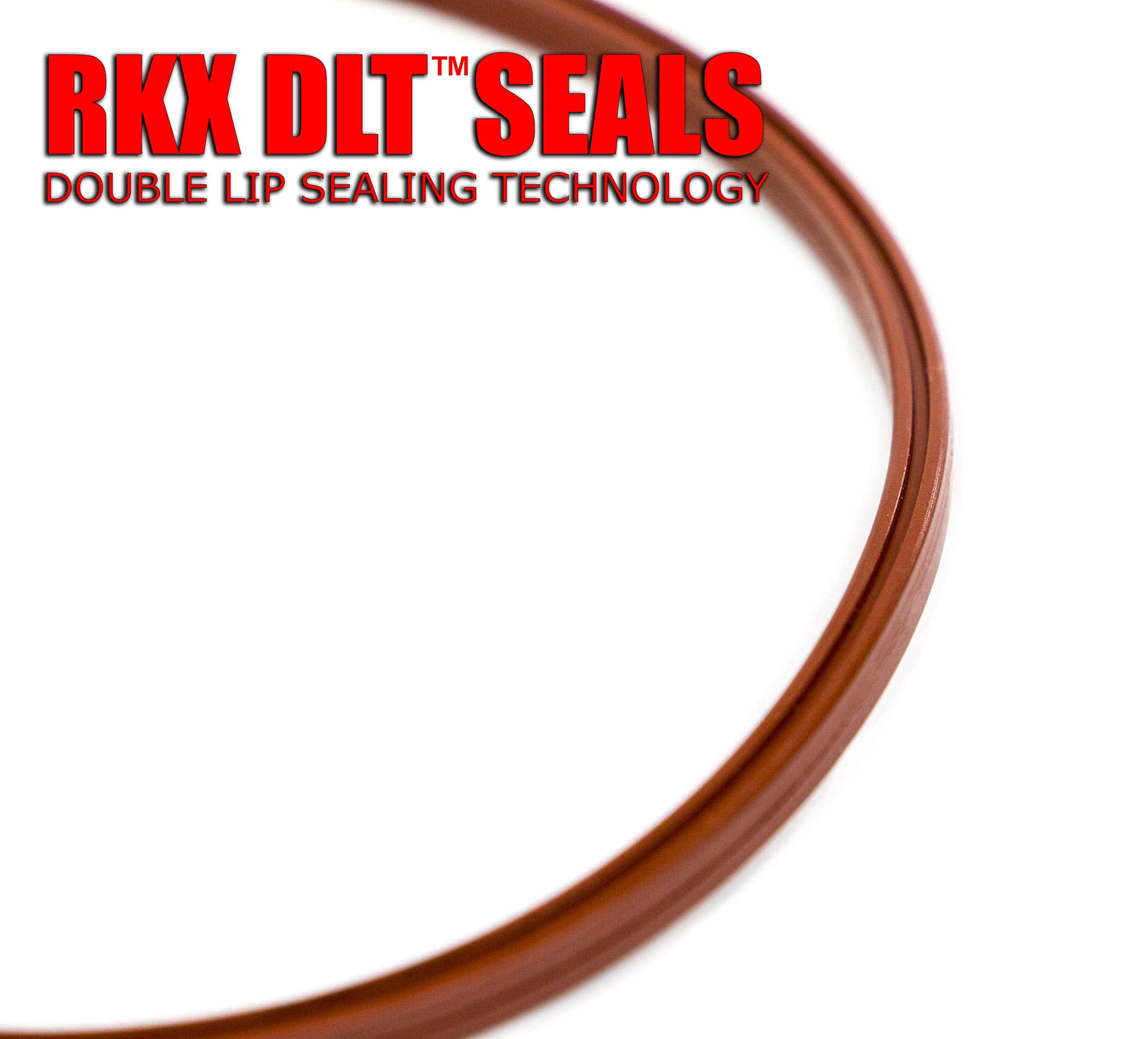 Kit de Reconstrucción de Bomba de Vacío RKX Compatible con - Imagen 5