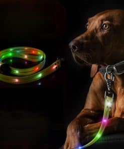 Conjunto de Collar y Correa LED para Perros Collar y