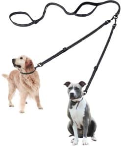 Correa Doble para Perros - Correa Larga Ajustable para
