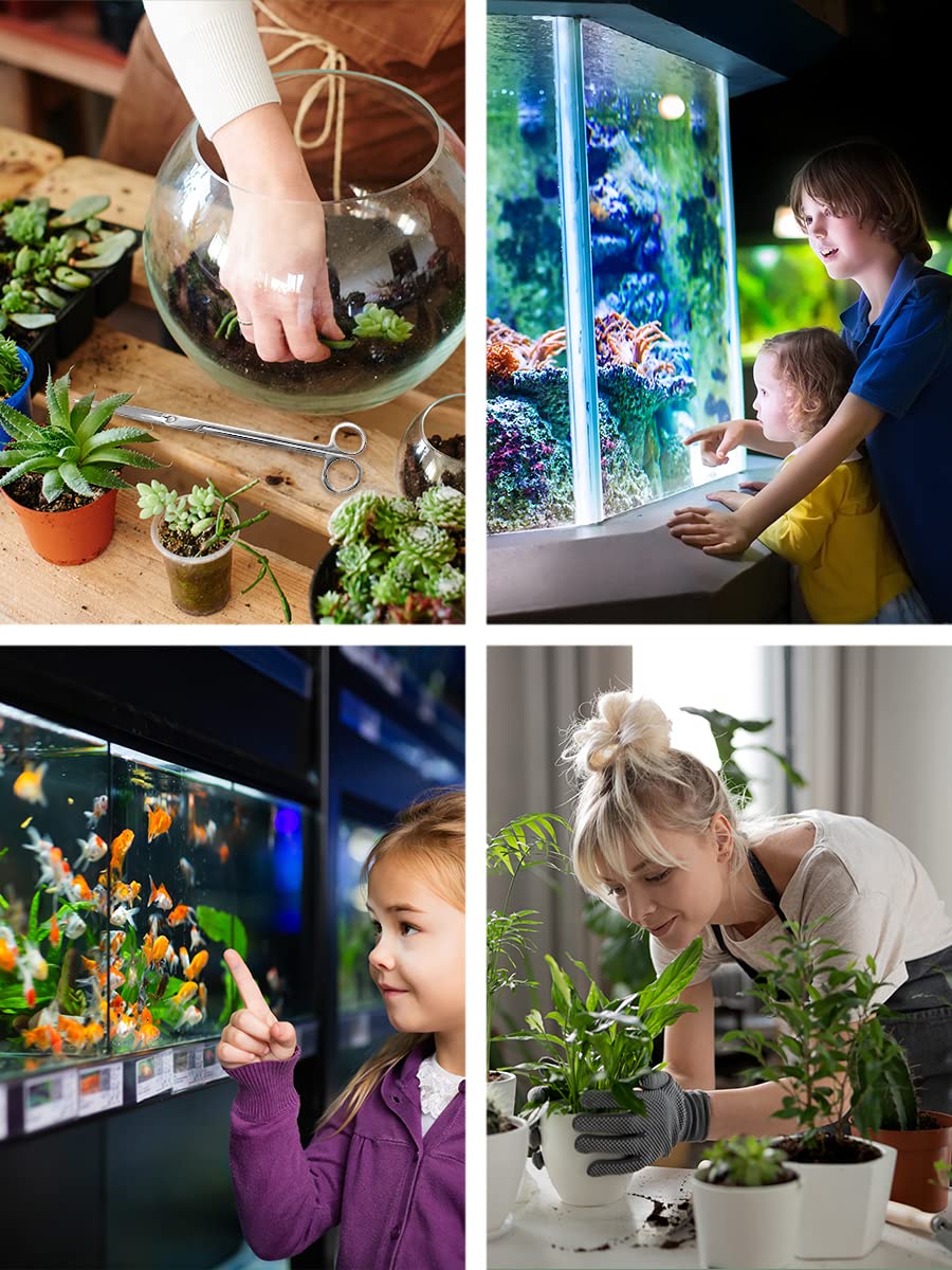 Mandala Crafts Kit de Herramientas de Aquascaping Arcoíris - Imagen 6