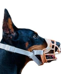 Bozal para Perros, Bozal de Canasta Antimordeduras y