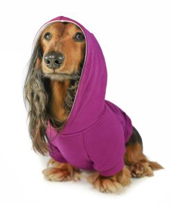 Sudadera con Capucha para Perros DJANGO súper Suave y