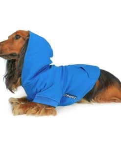Sudadera con capucha para perros DJANGO y suéter súper