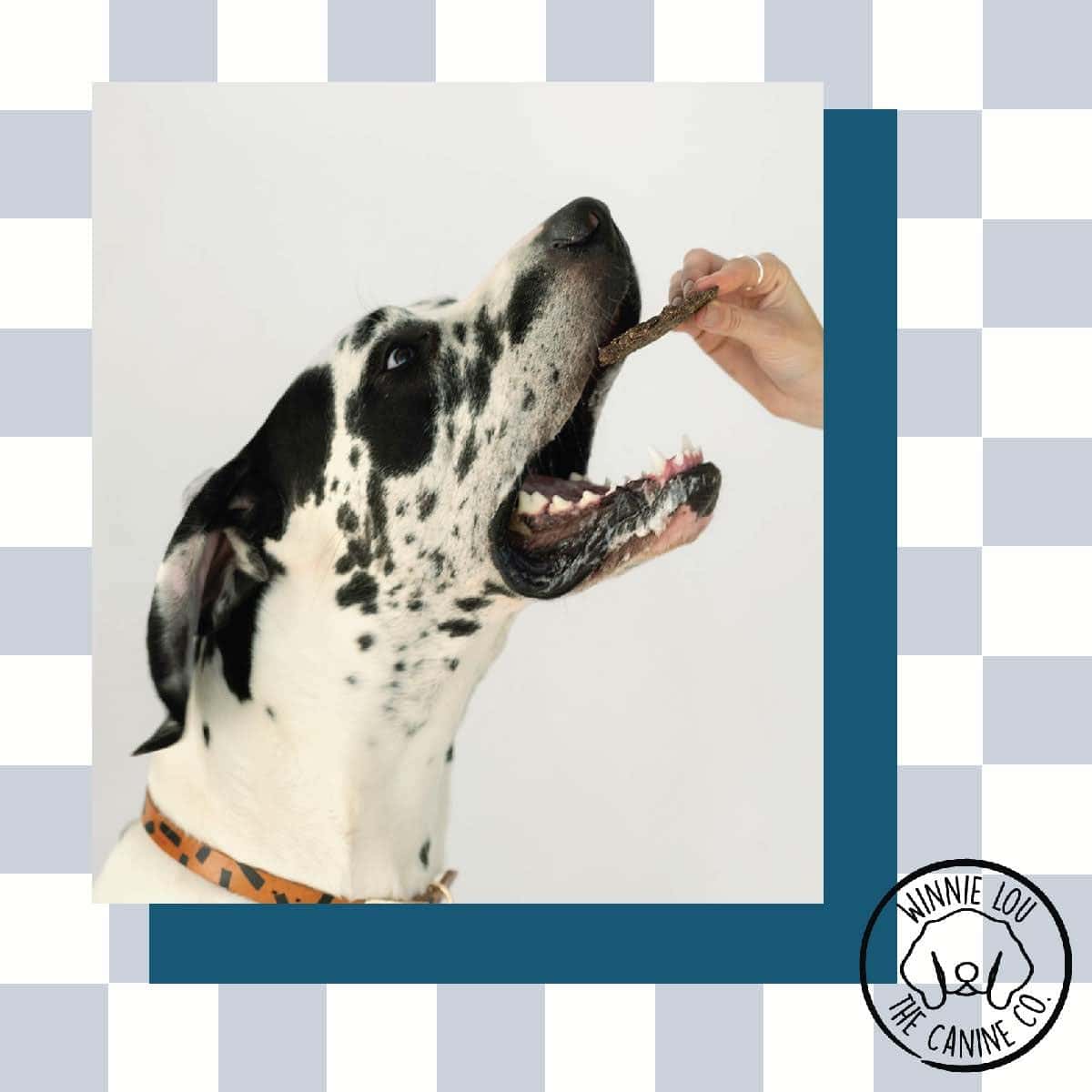 Premios Orgánicos para Perros Winnie Lou Jerky Hechos en - Imagen 6