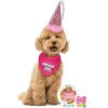 Paquete de Fiesta de Cumpleaños para Perro Con Bandana,