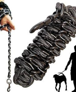 Correa Metálica para Perros con Collar de Entrenamiento