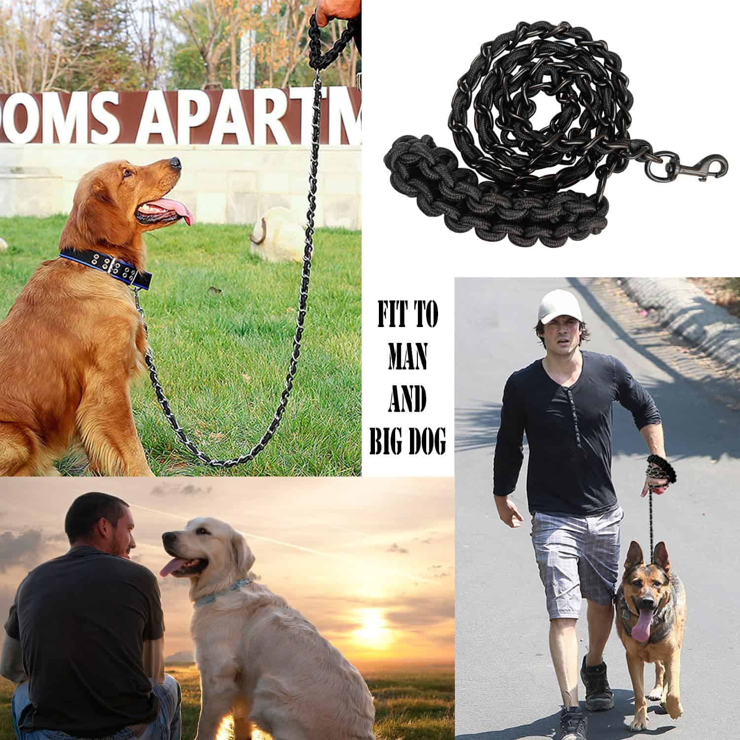 Correa para Perros Cadena Metálica con Collar para - Imagen 5