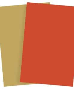 Fondos de Fotografía Bessie Bakes Pumpkin Patch Color