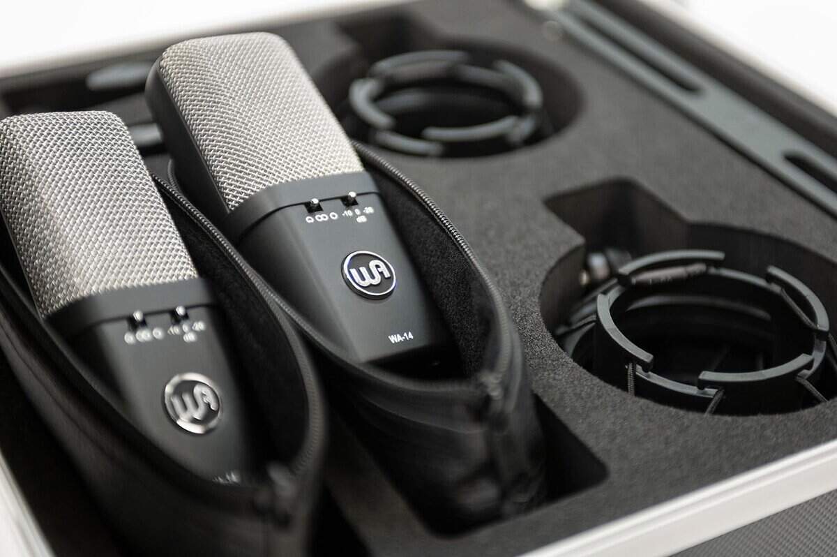 Par Estéreo de Micrófono de Condensador de Gran Diafragma - Imagen 5