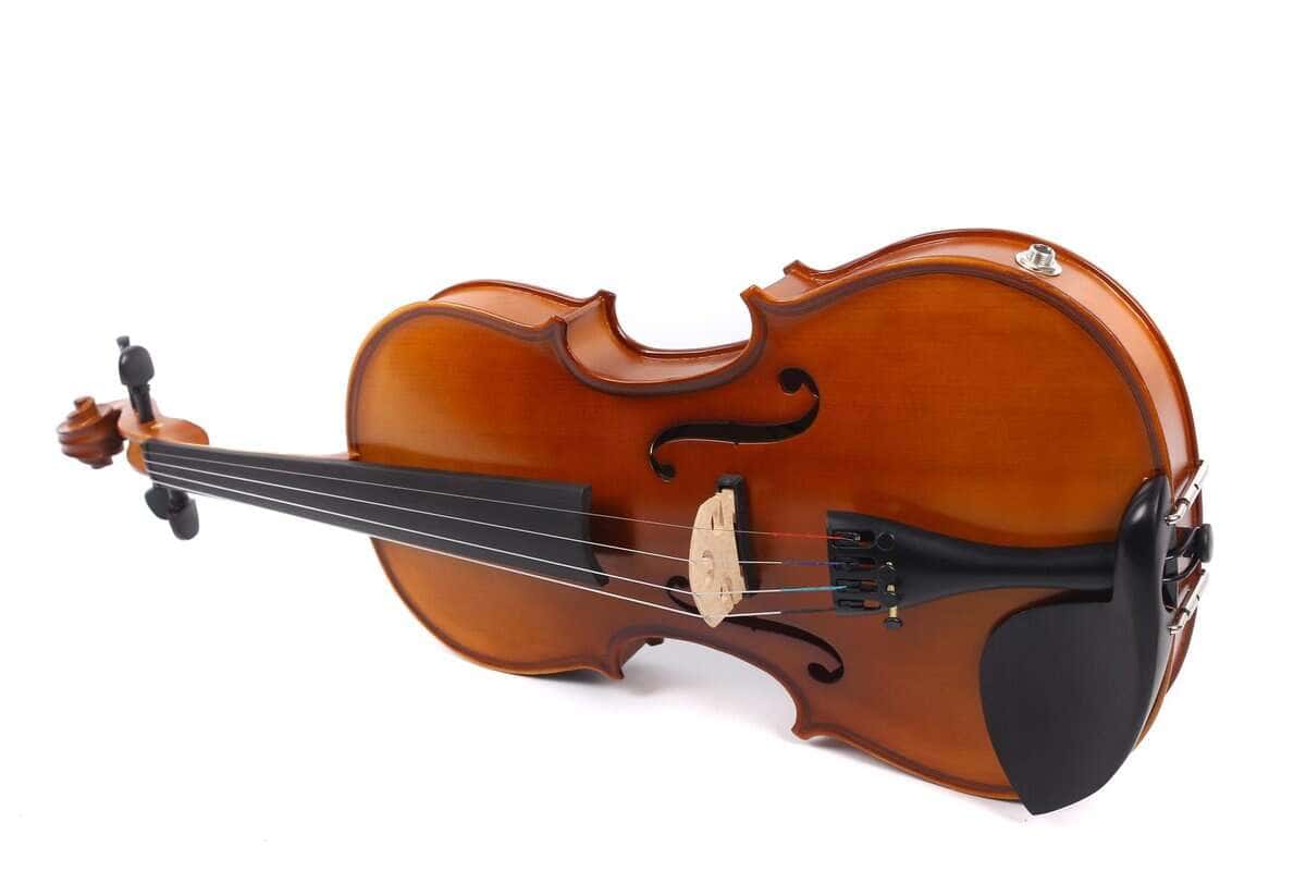 Viola Eléctrica de 4 Cuerdas Vetimobato 16 pulgadas Maple - Imagen 4