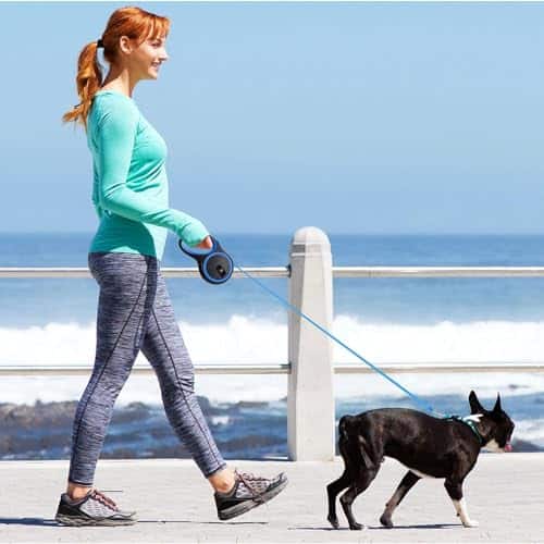 Correa retráctil para perros - Correa de 16 pies para - Imagen 6
