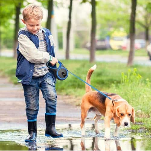 Correa retráctil para perros - Correa de 16 pies para - Imagen 4