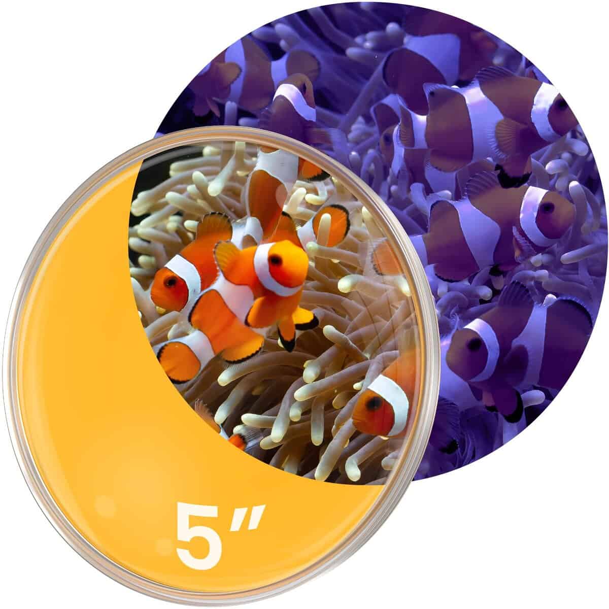 FL!PPER DeepSee Clear Viewer - Filtro Naranja Lente Claro y