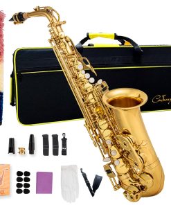 Saxofón Alto Cadway Eb para principiantes incluye estuche