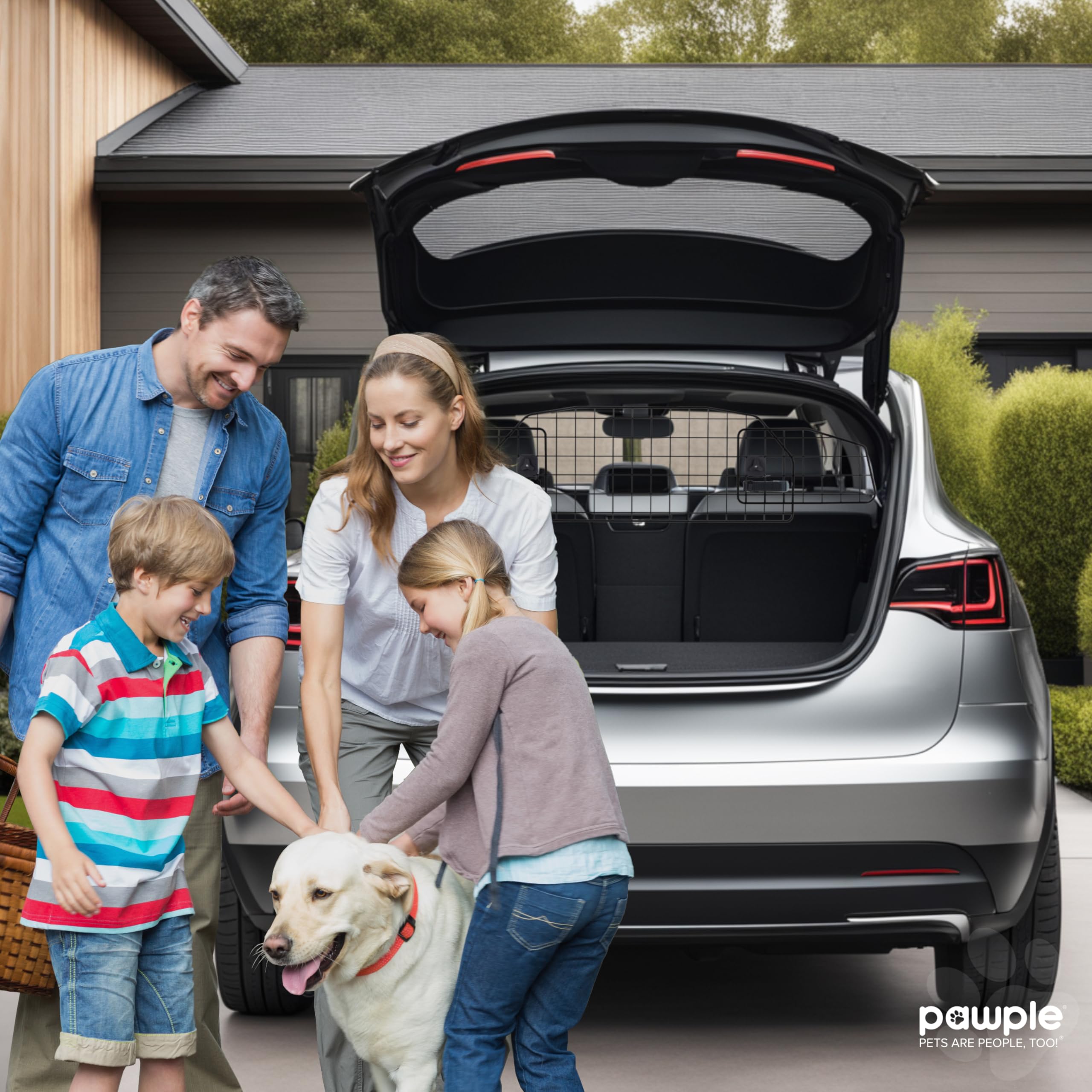 Barrera para Perros Pawple Compatible con Tesla Modelo Y - Imagen 6