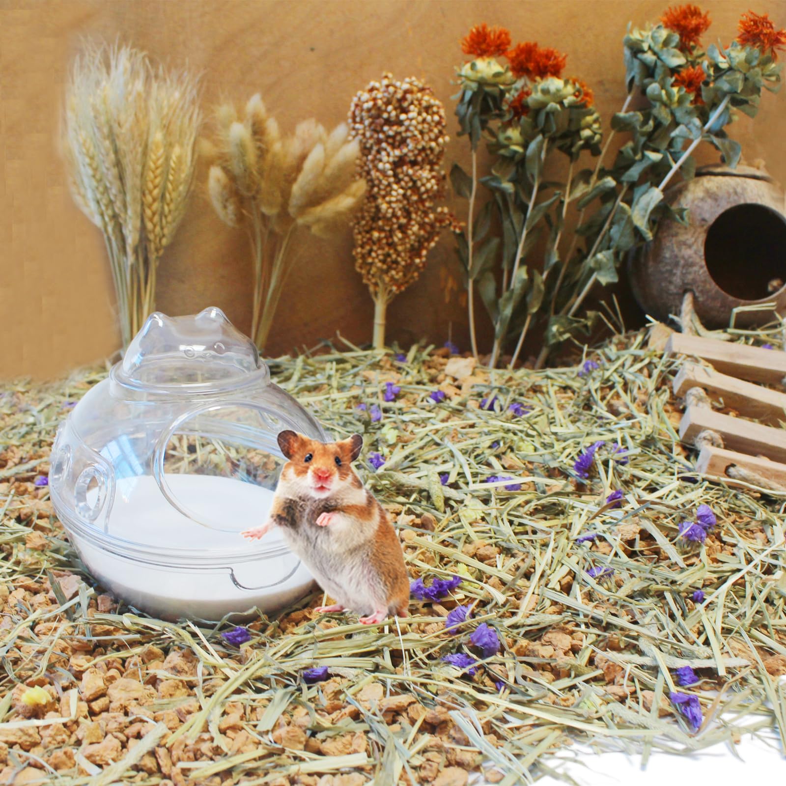 Arena de Baño para Hámster JFWOD, 15.4lb Arena del Desierto - Imagen 7