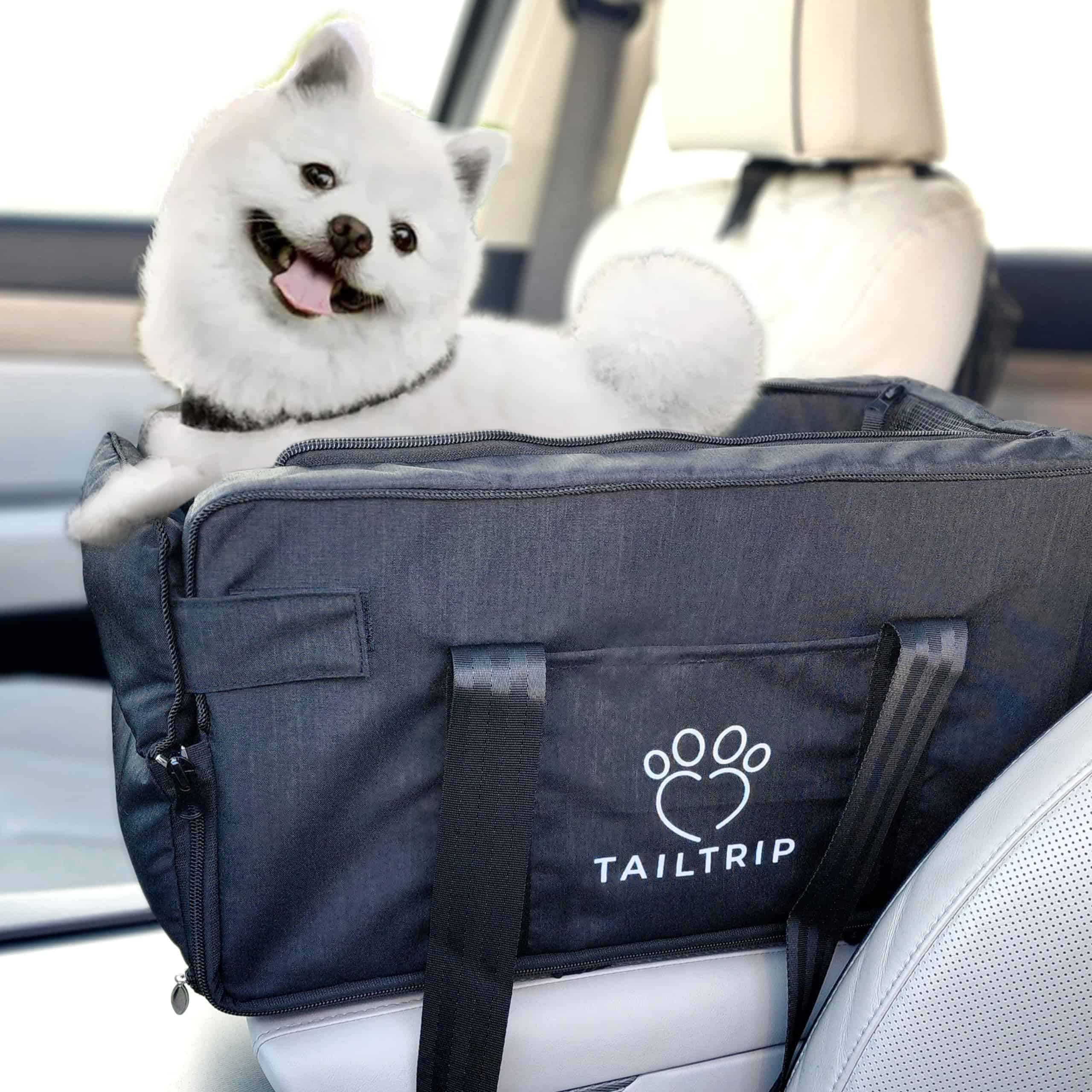 Asiento de Coche para Perros Tailtrip para Perros Pequeños,
