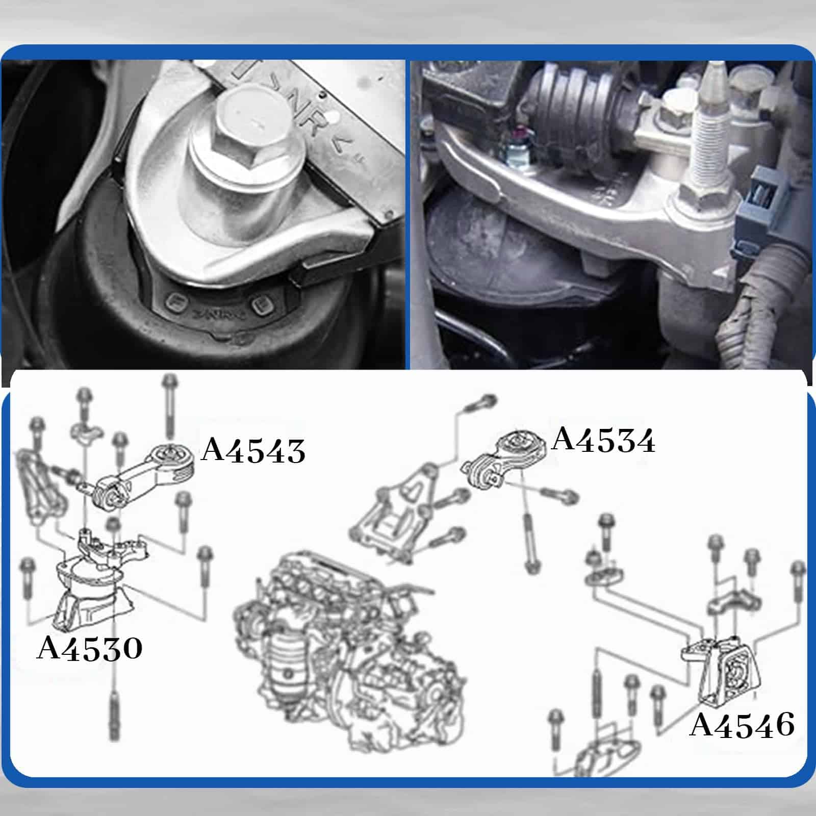 Conjunto de 4 soportes de motor y transmisión -Negro - Imagen 7