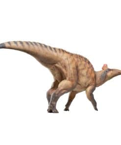 PNSO Modelos de Dinosaurios Prehistóricos (80 Zabad El