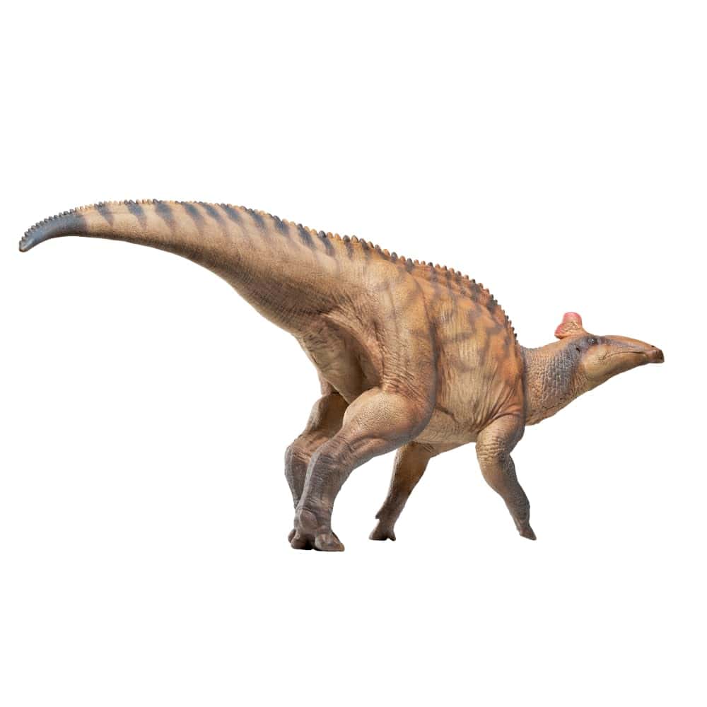 PNSO Modelos de Dinosaurios Prehistóricos (80 Zabad El