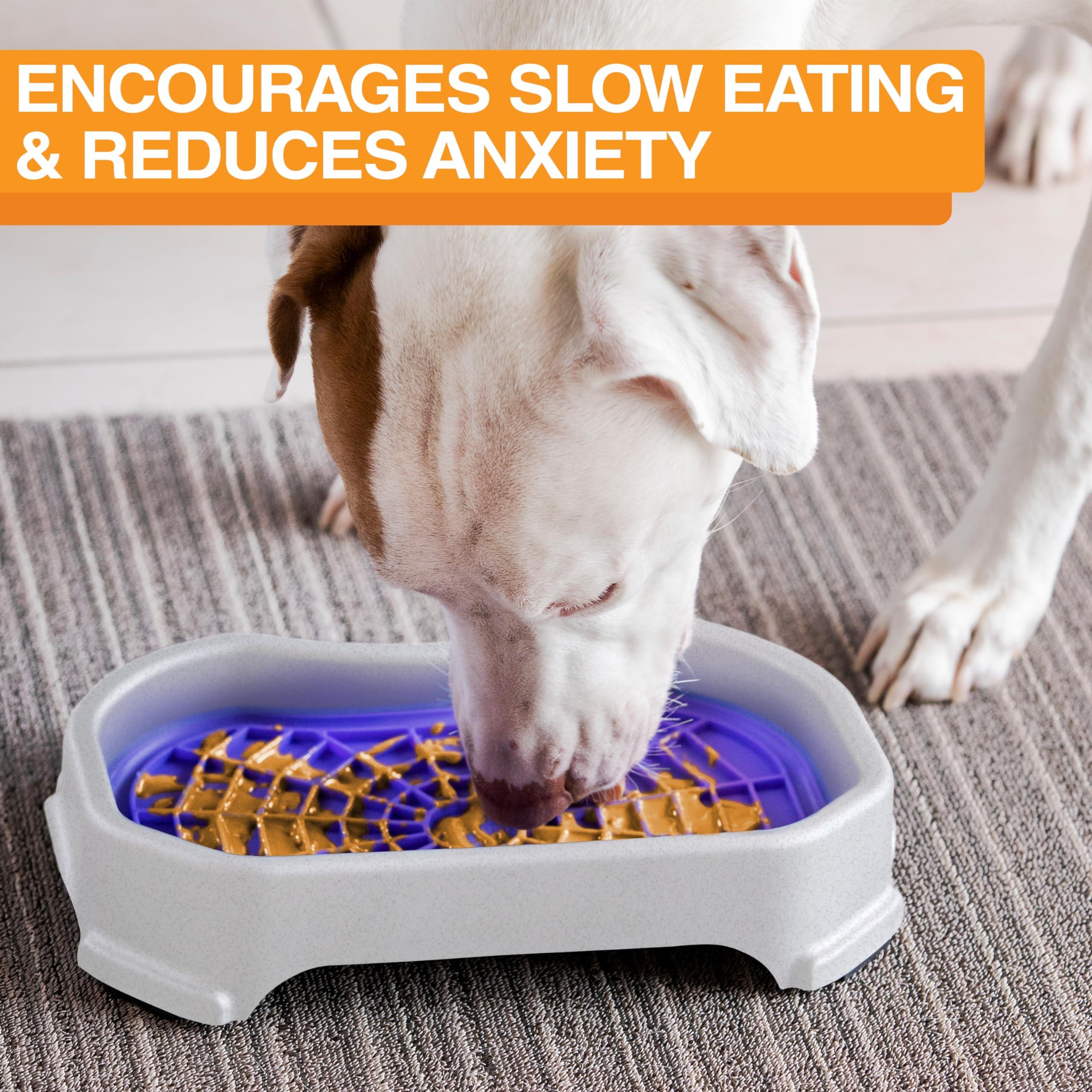 Neater Pets - Neat-LIK Pad con Bandeja a Prueba de Desorden - Imagen 3