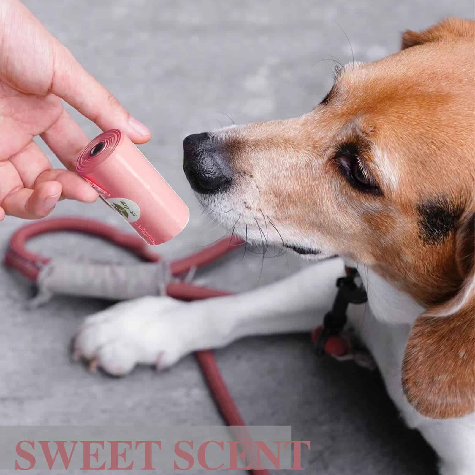 Porta bolsas de desechos con lanyard colorido, dispensador - Imagen 5