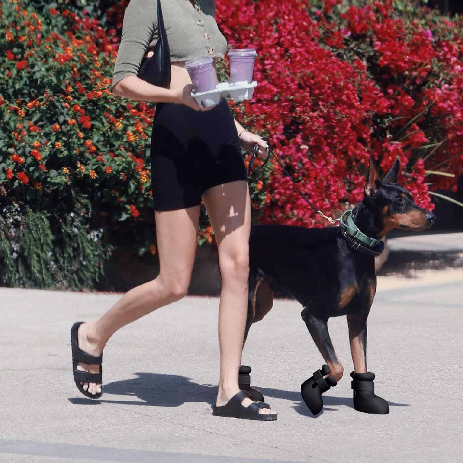 Zapatos para Perros Grandes, Botas para Perros Medianos & - Imagen 8