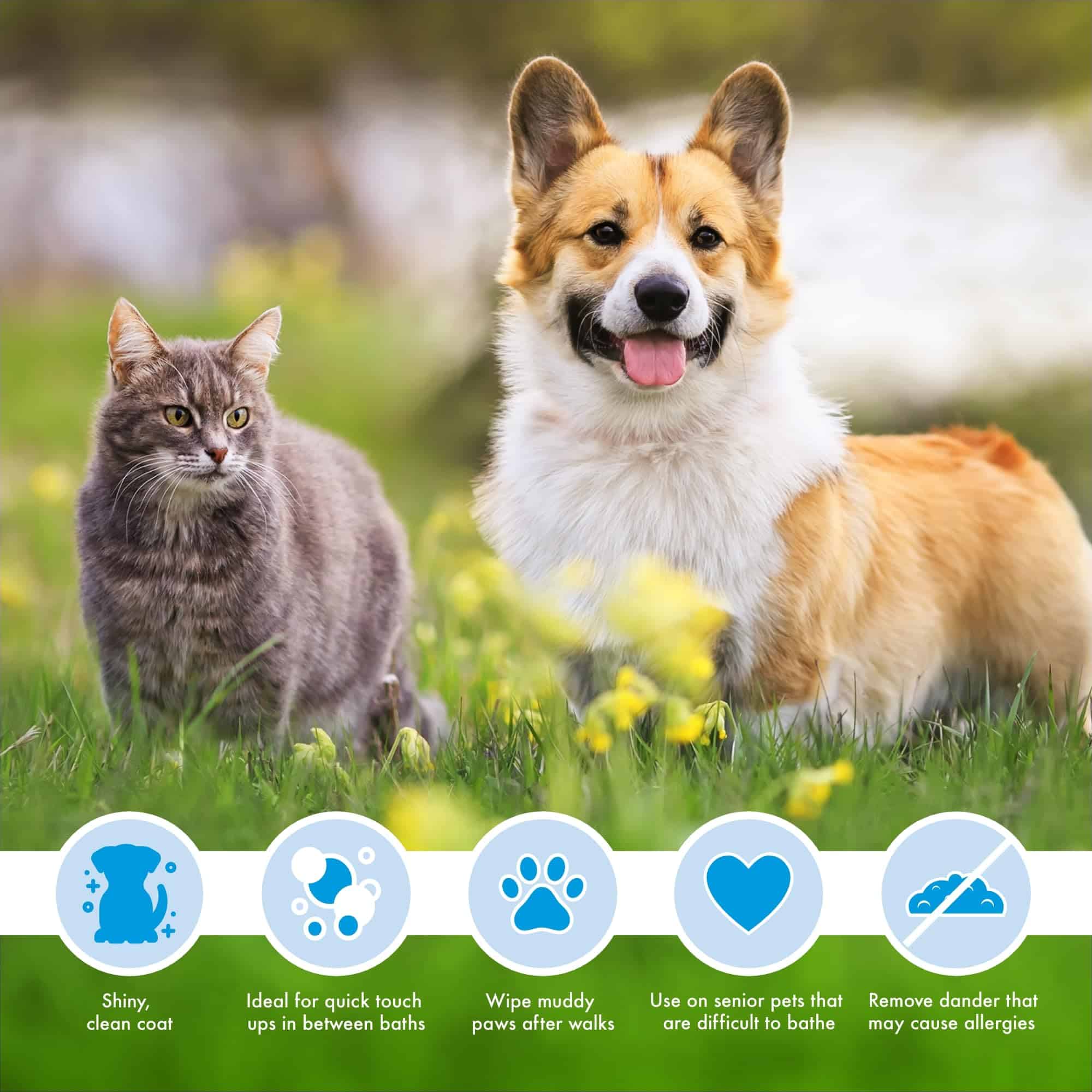 Paquete de Valor Mega de Toallitas para Mascotas Petkin, - Imagen 6