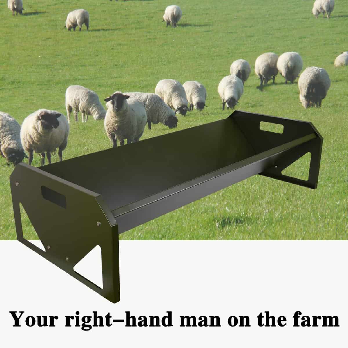 Tolva de Alimentación de Acero Inoxidable de 45 Pulgadas de - Imagen 5