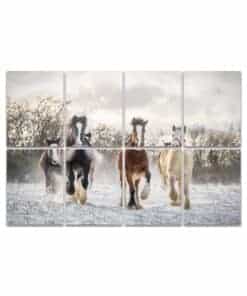 Paneles Acústicos de Arte, Hermoso grupo grande de caballos