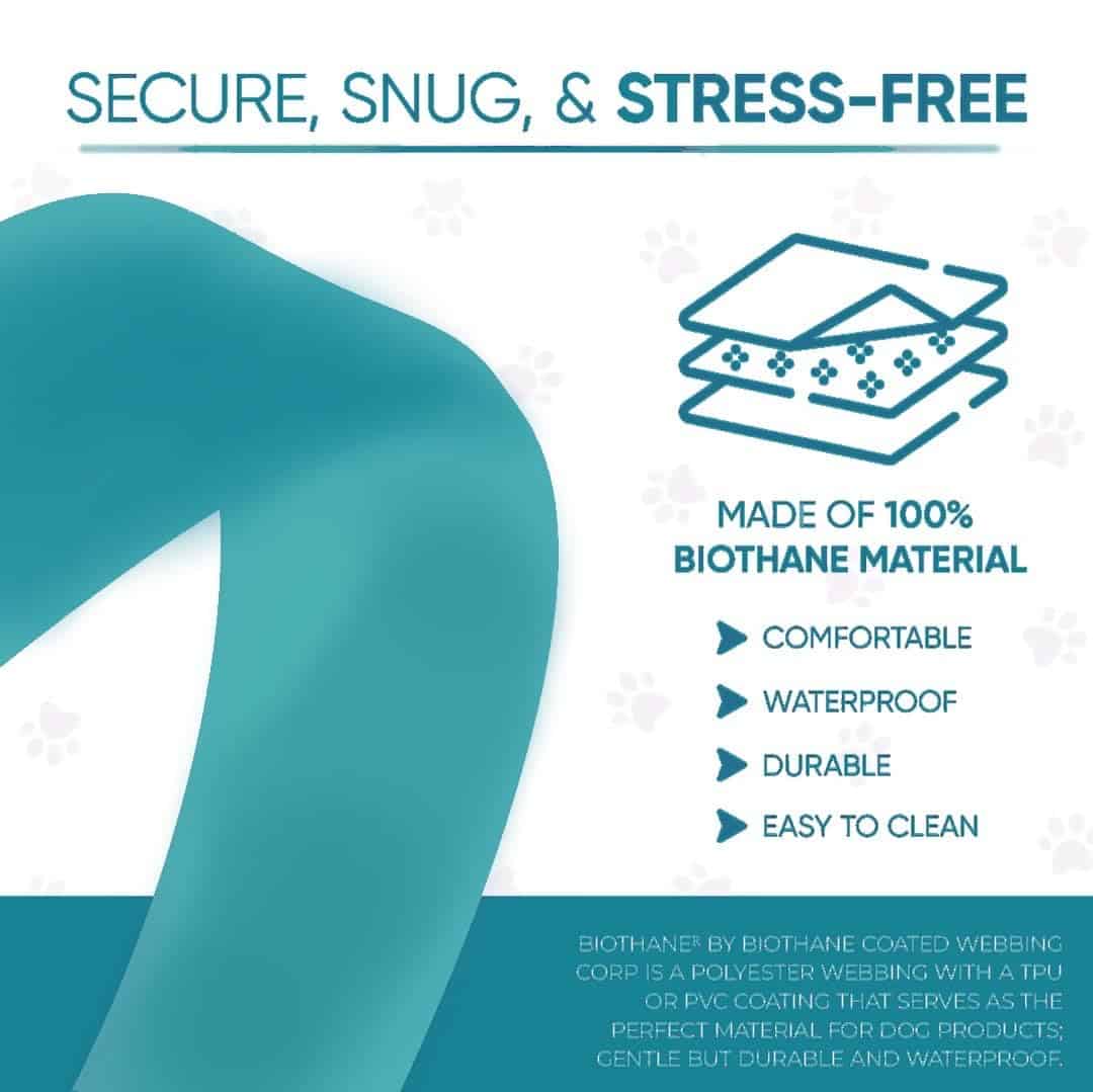 Prestige Elite - Set de 6 - Correas para perros Prestige - Imagen 7