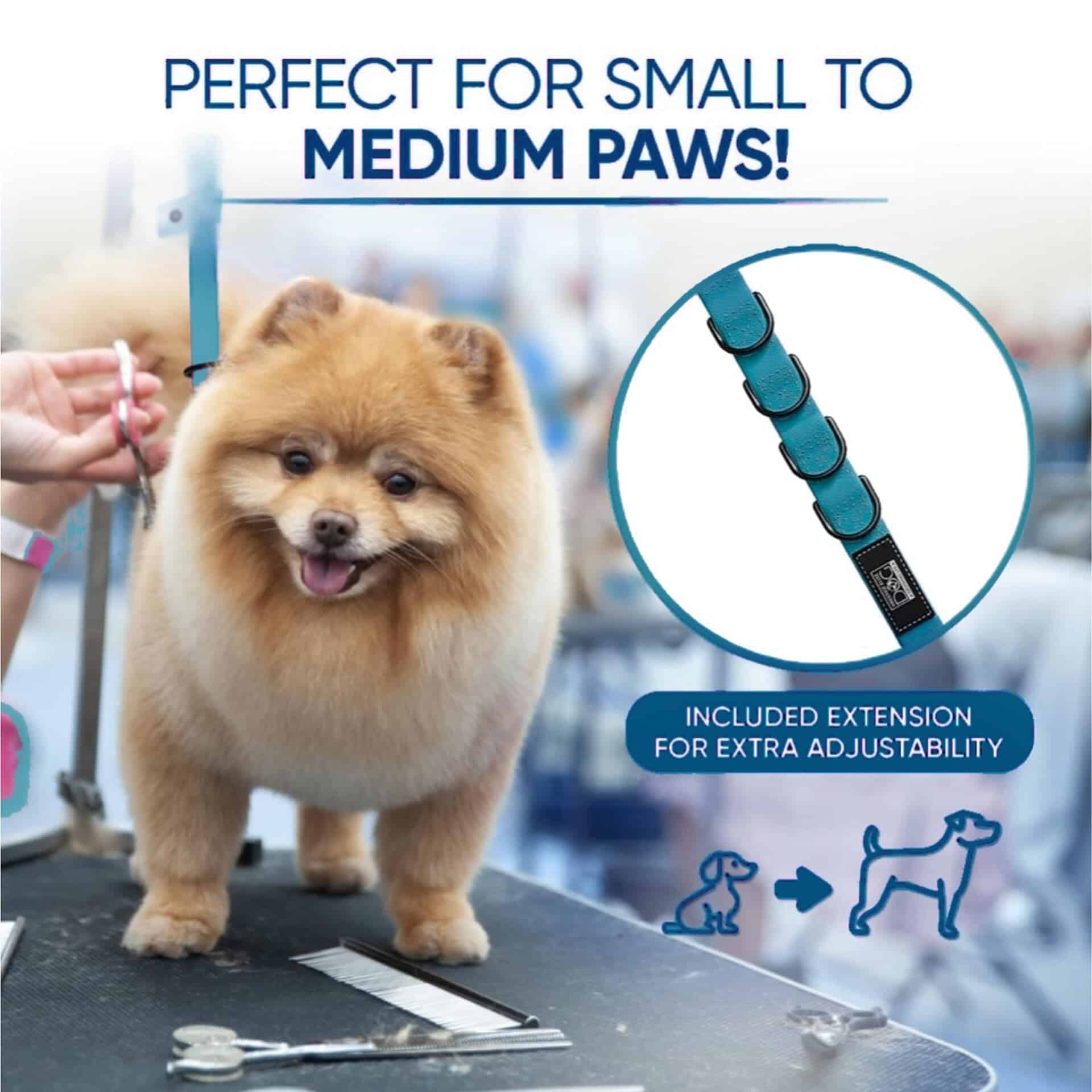 Prestige Elite - Set de 6 - Correas para perros Prestige - Imagen 8