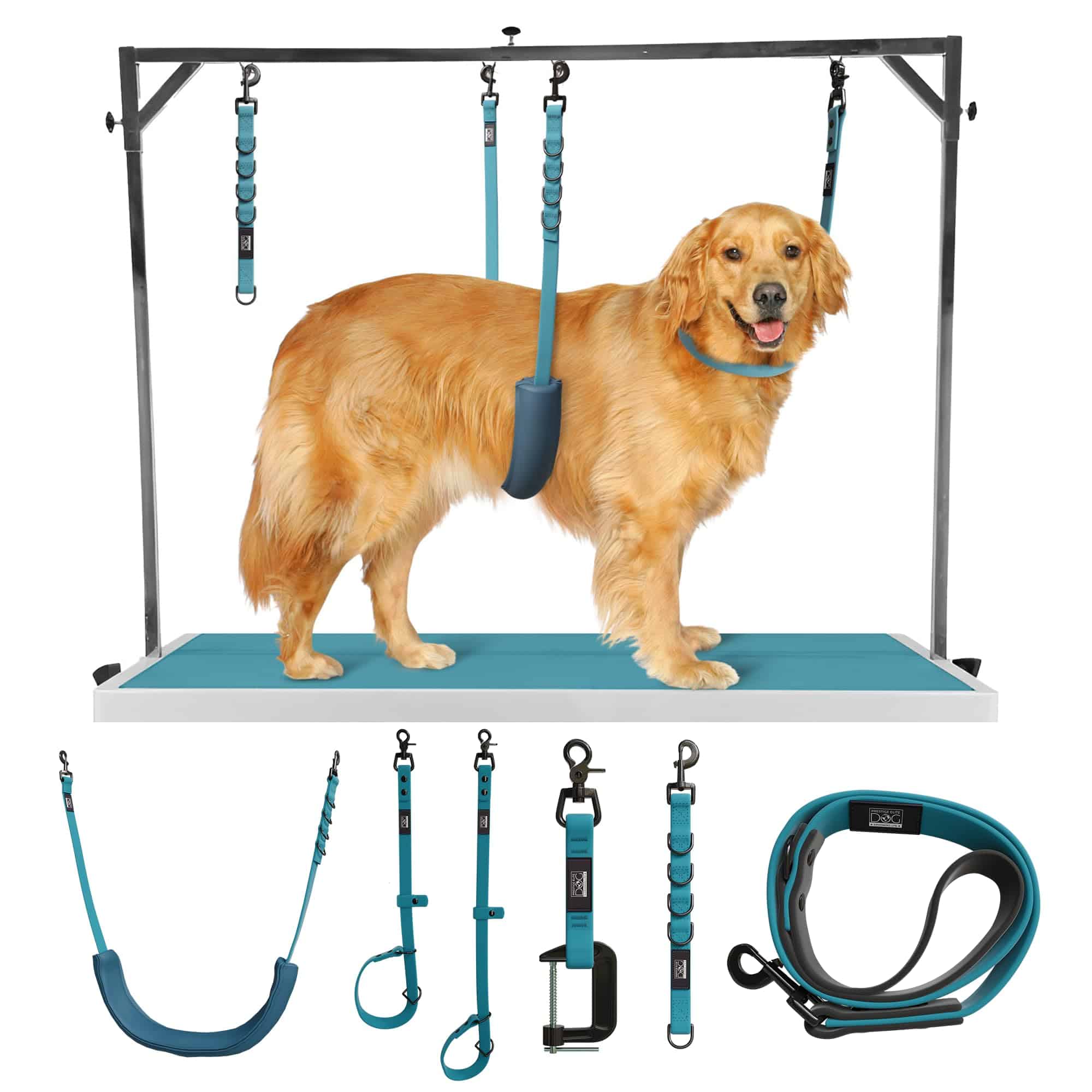 Prestige Elite - Set de 6 - Correas para perros Prestige - Imagen 10