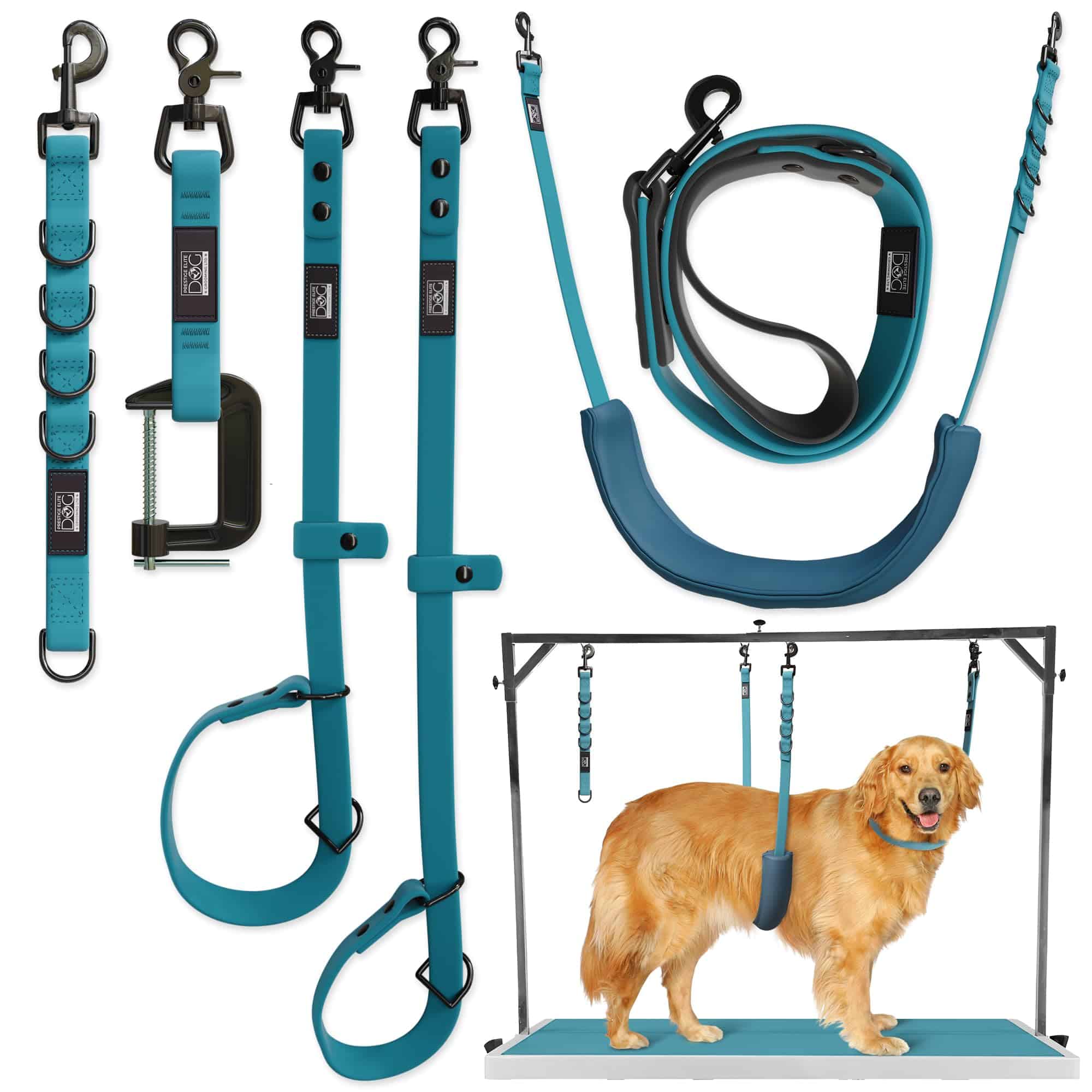 Prestige Elite - Set de 6 - Correas para perros Prestige