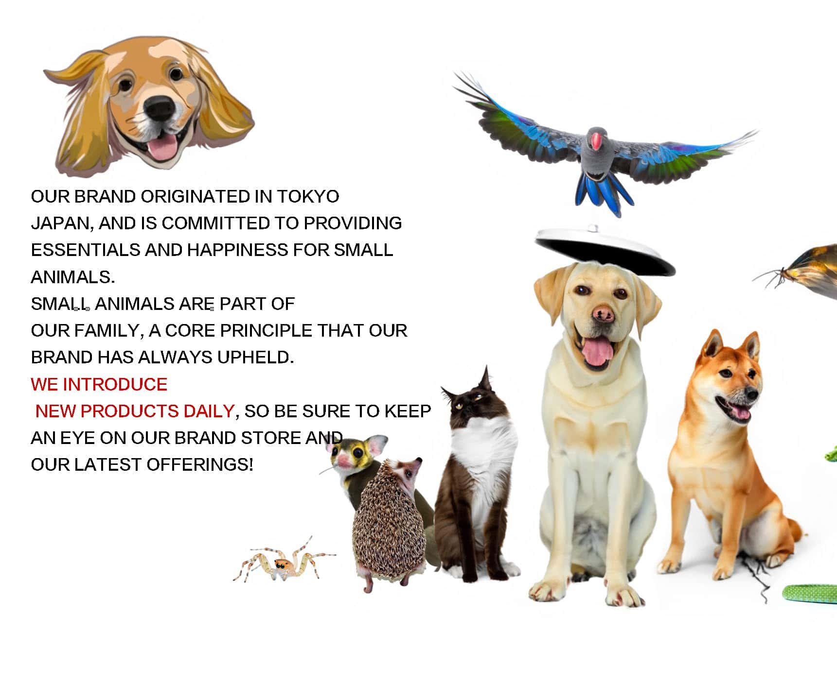 Jaula de Pollos Conejos Patos 15.7 Pulgadas Grande Jaula de - Imagen 7