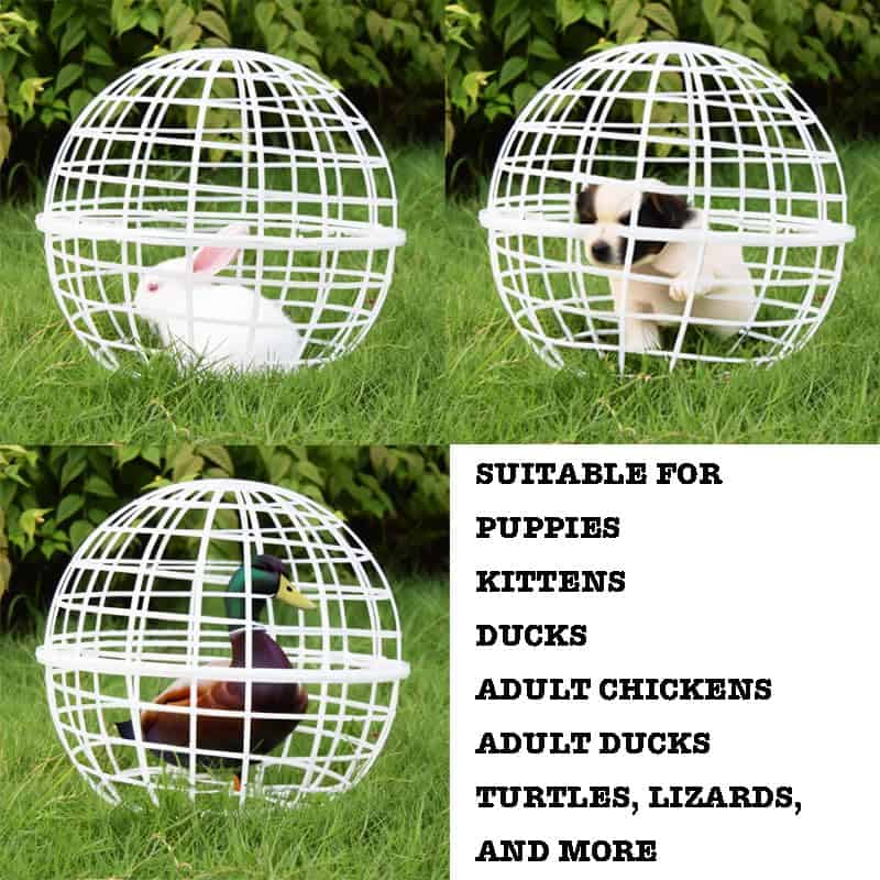 Jaula de Pollos Conejos Patos 15.7 Pulgadas Grande Jaula de - Imagen 4