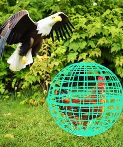 Jaula de Pollos Conejos Patos 15.7 Pulgadas Grande Jaula de