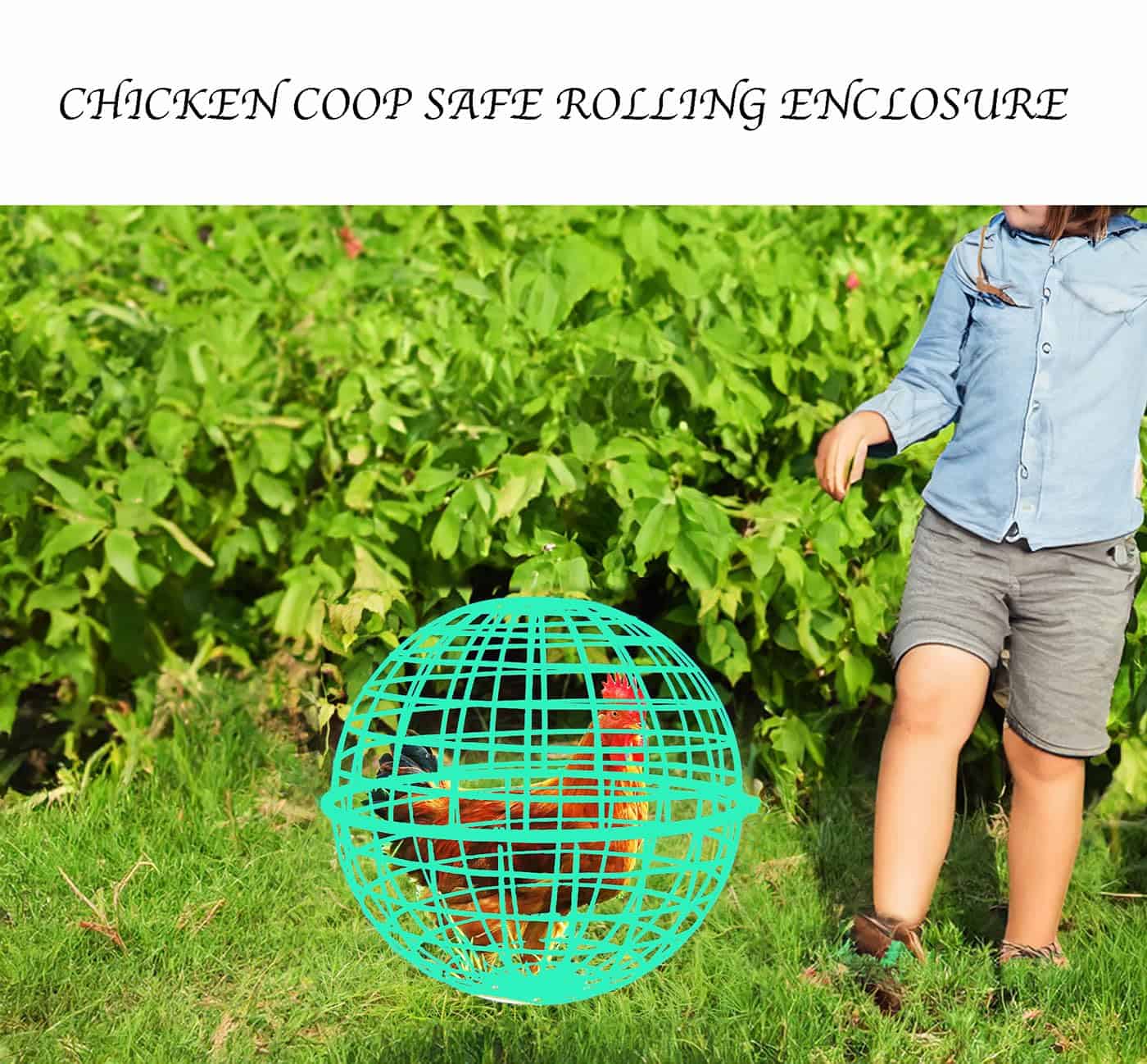 Jaula de Pollos Conejos Patos 15.7 Pulgadas Grande Jaula de - Imagen 6