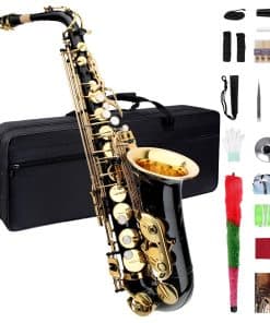 Saxofón Alto Eb, Saxofón para Principiantes, Saxofón Alto
