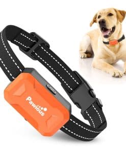 Receptor Pawious para Cerca Inalámbrica para Perros